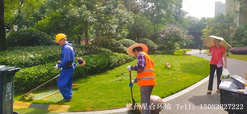 绿化养护