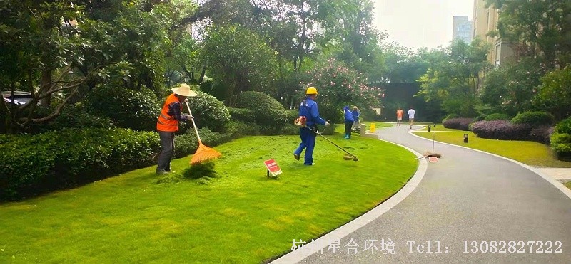 绿化养护