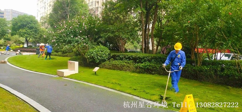 绿化养护