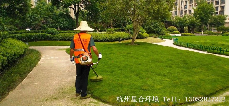 绿化养护