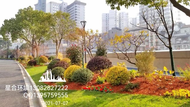 绿化工程中彩色树皮有什么作用?