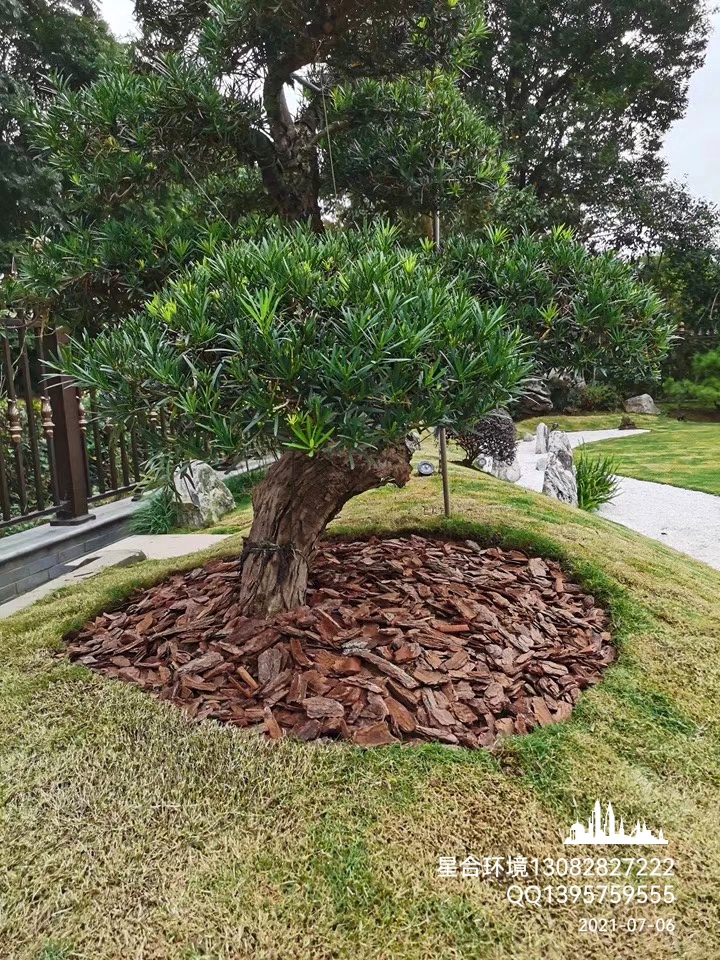 绿化工程