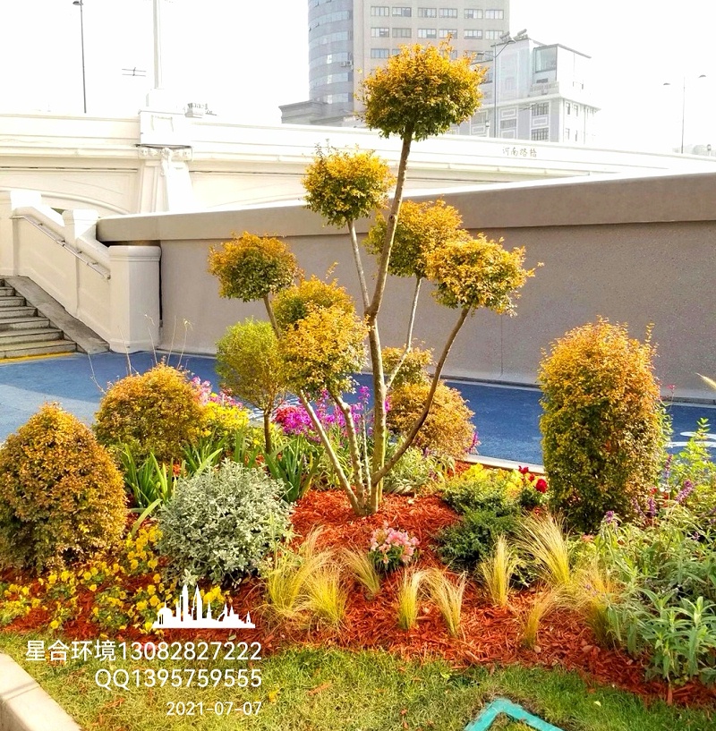 绿化工程