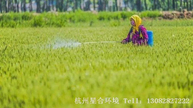 绿化养护
