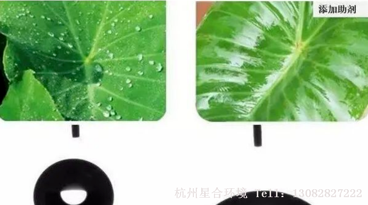 防止病菌孢子萌发等作用;作为助剂与其他药剂混用时，应将其它药剂先对水拌匀后再加矿物油，否则绿化养护易出现油包药现象，降低防效