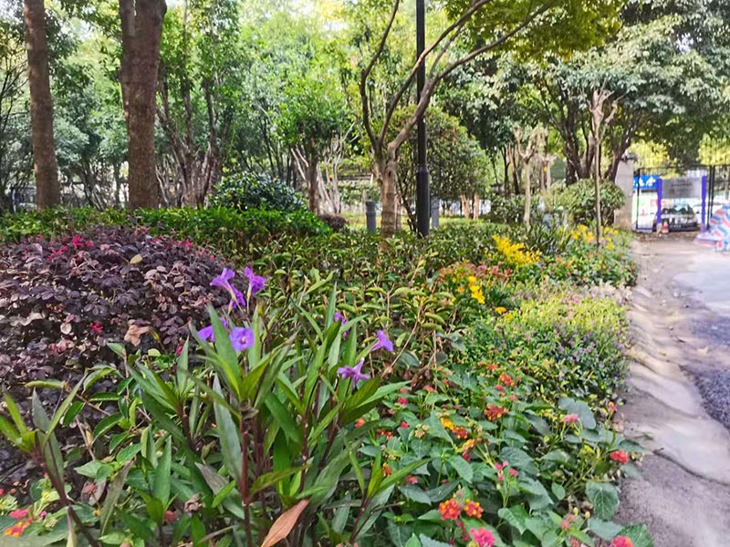 世纪新城东西门绿化改造工程