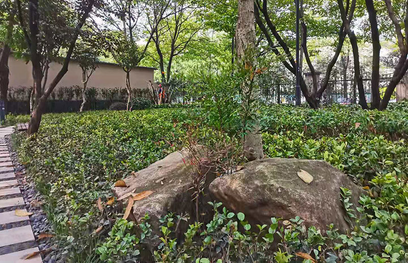 世纪新城东西门绿化改造工程
