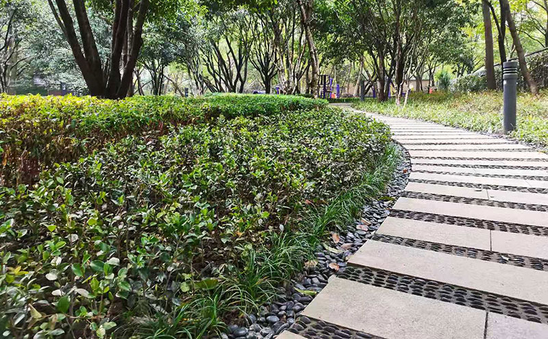 世纪新城东西门绿化改造工程