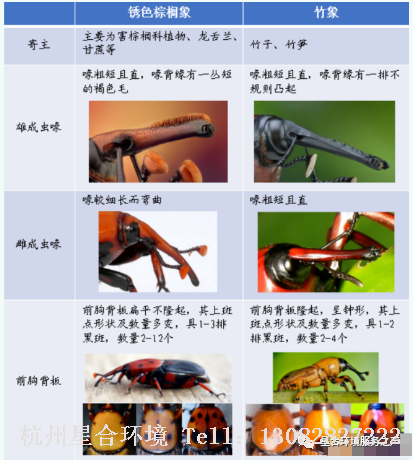 小区养护