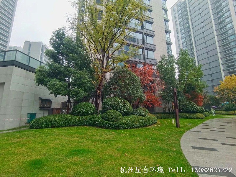 绿化养护草坪修剪