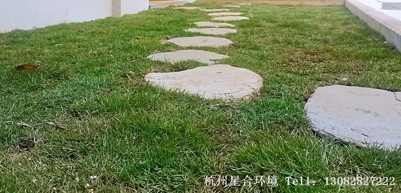 庭院绿化工程汀步石的布置