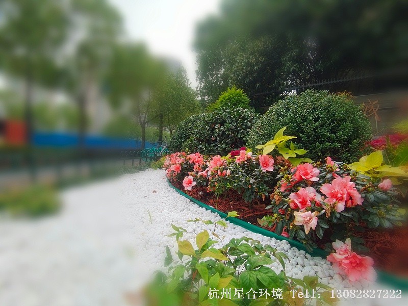 小区绿化工程-局部小景2