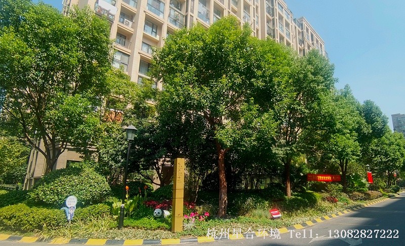 小品花境绿化工程-远景展示