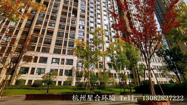 小区绿化养护-阳光城上府小区绿化养护项目