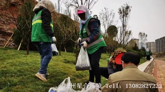 绿化养护