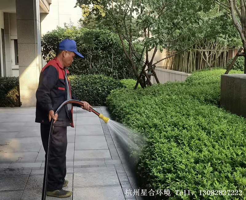 植物降温浇水工作
