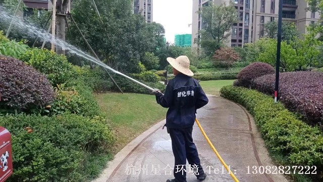 绿化养护