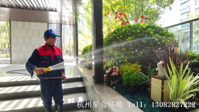 植物降温